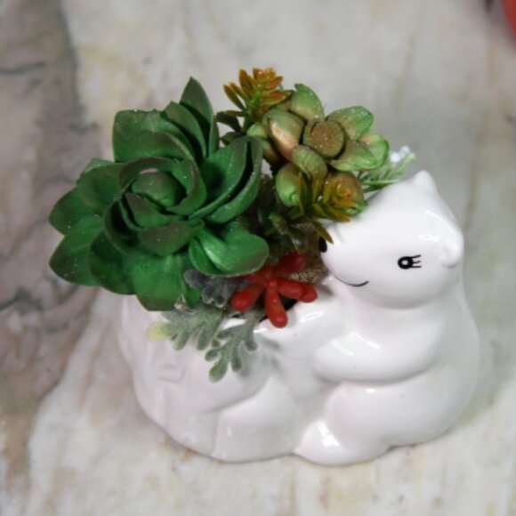 Small ceramic polar bear planter  w/Sola festive hand-painted Sola succulents - Picture 3 of 8
